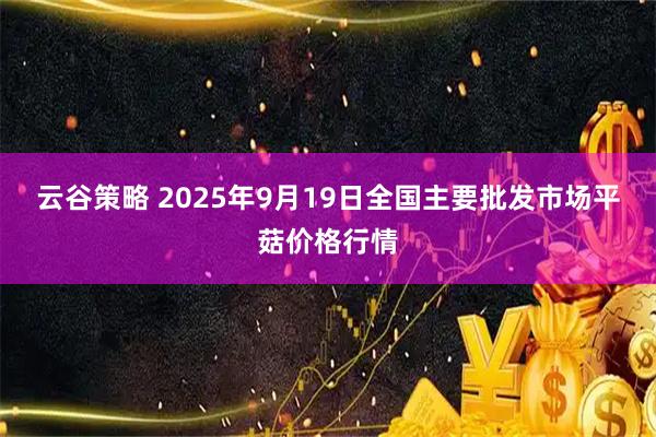 云谷策略 2025年9月19日全国主要批发市场平菇价格行情