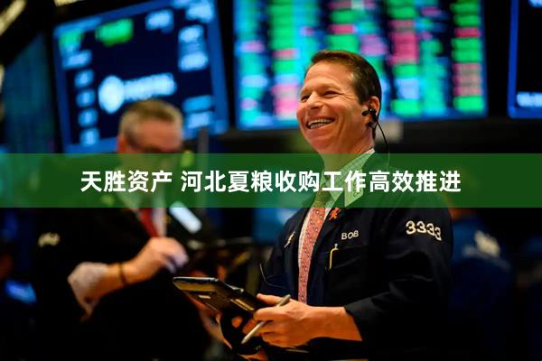 天胜资产 河北夏粮收购工作高效推进