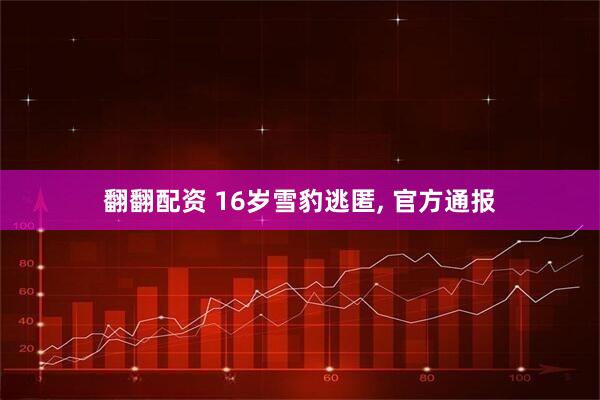 翻翻配资 16岁雪豹逃匿, 官方通报