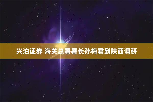 兴泊证券 海关总署署长孙梅君到陕西调研