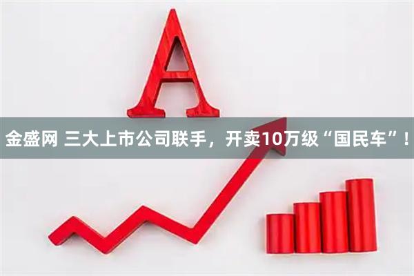 金盛网 三大上市公司联手,开卖10万级“国民车”!